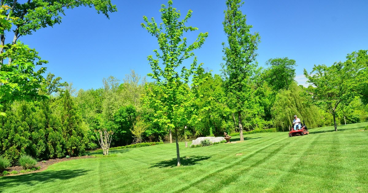 How Often to Mow Lawn