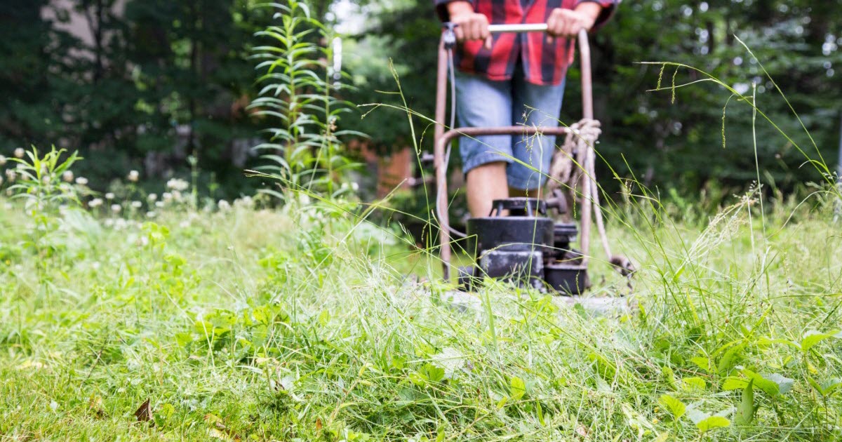 How to Mow Tall Grass