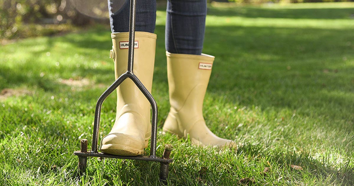 Lawn Aeration Guide