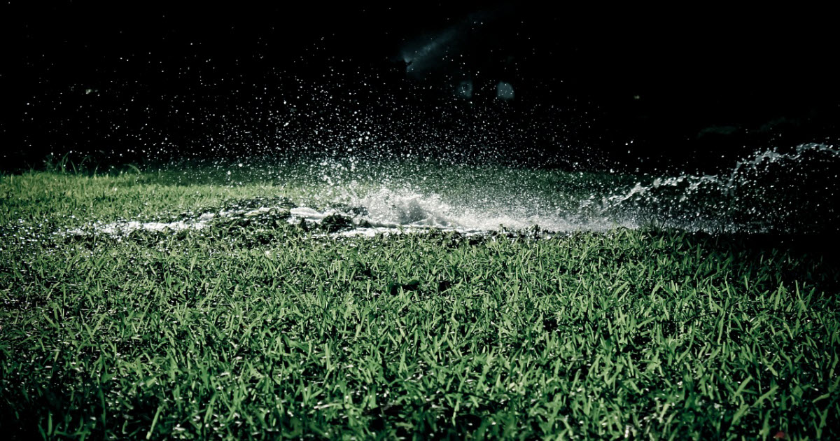 Watering Grass Seed at Night