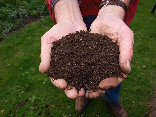 Añadir compost al césped arenoso