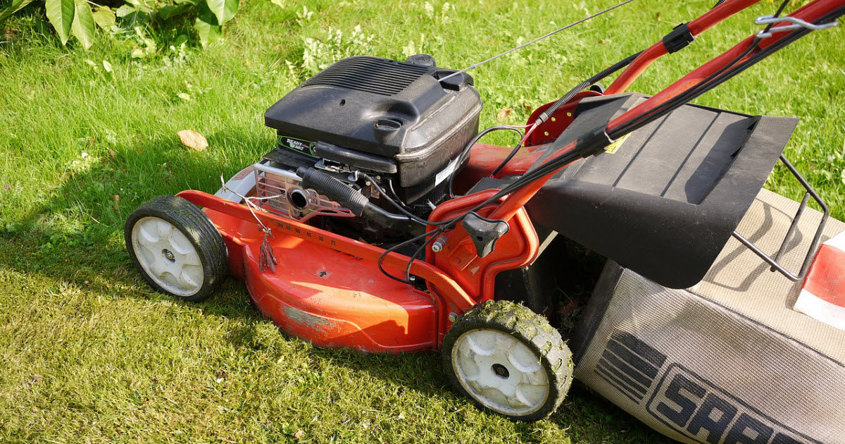 Where to Dump Grass Clippings? 