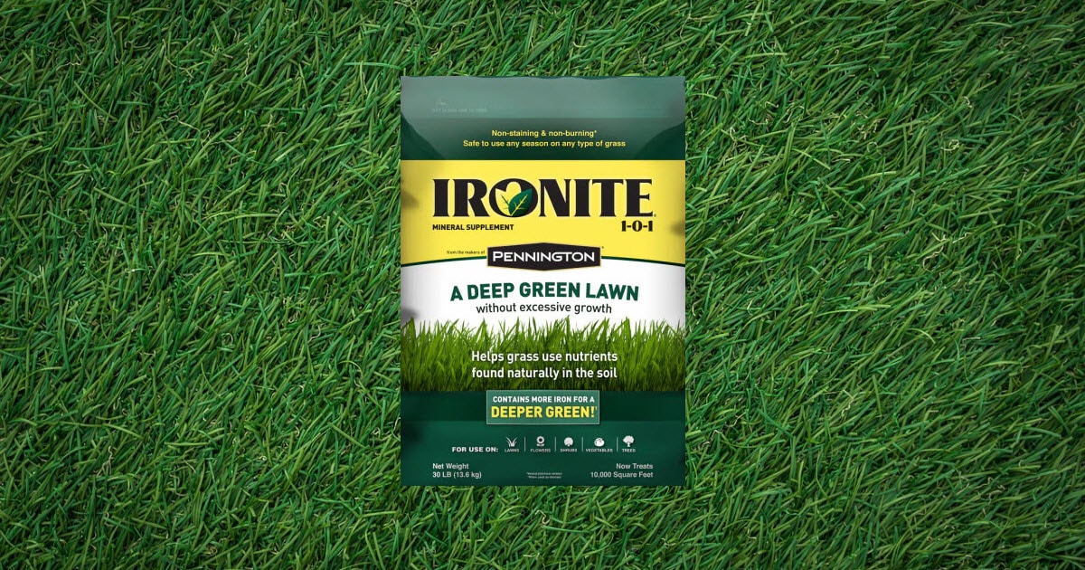 What Does Iron Do for Grass? 