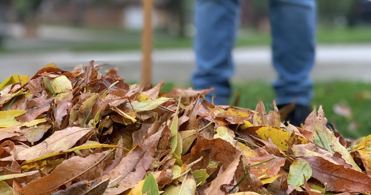 400mm  Leaf Leaves Gutter Scoop Shovel Cleaner Pooper DIY Clean garden yard 