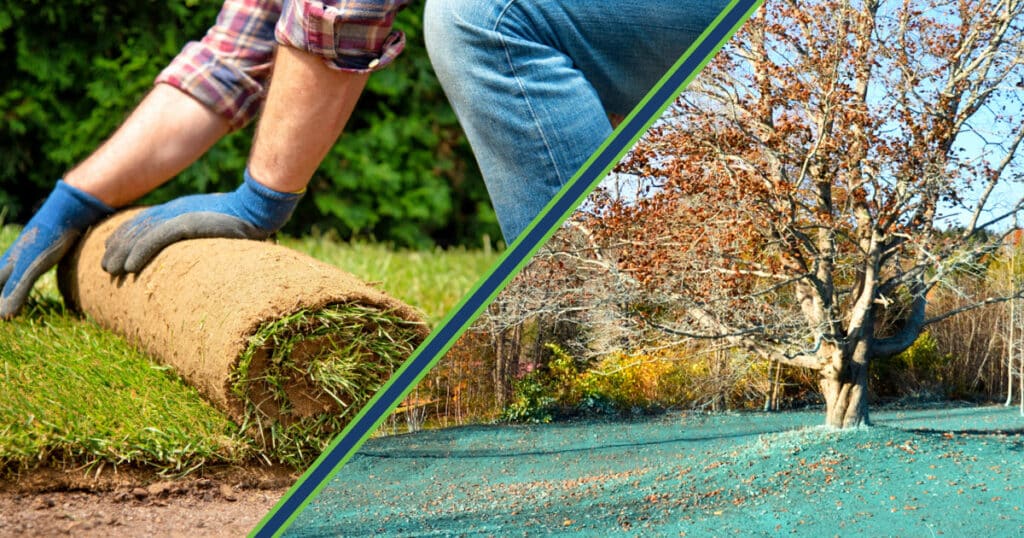 Sod vs Hydroseed Comparison [Pros & Cons of Each] Lawn Chick