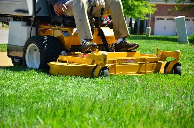 Grass in Sandy Lawn Soil