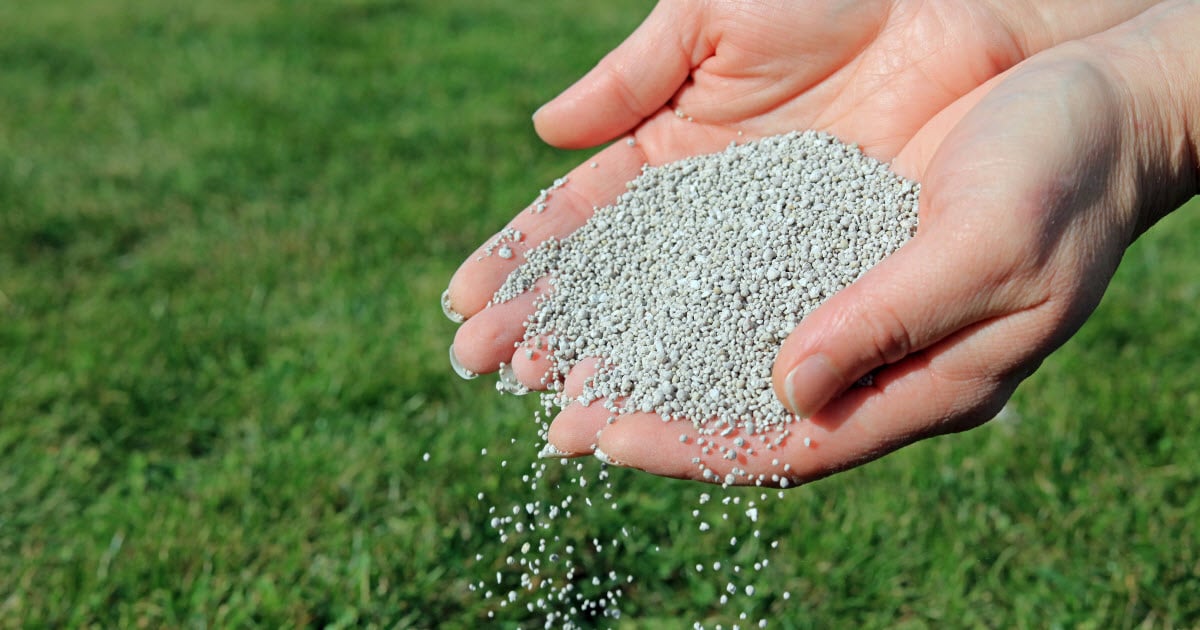 How Long Does it Take Granular Fertilizer to Work