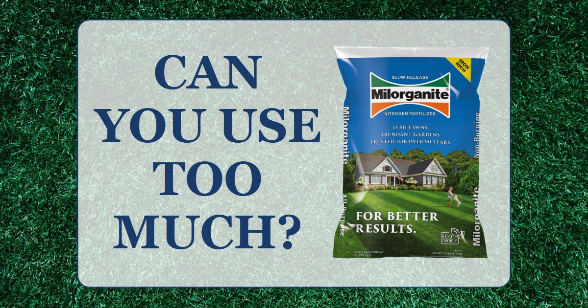 Can You Use Too Much Milorganite