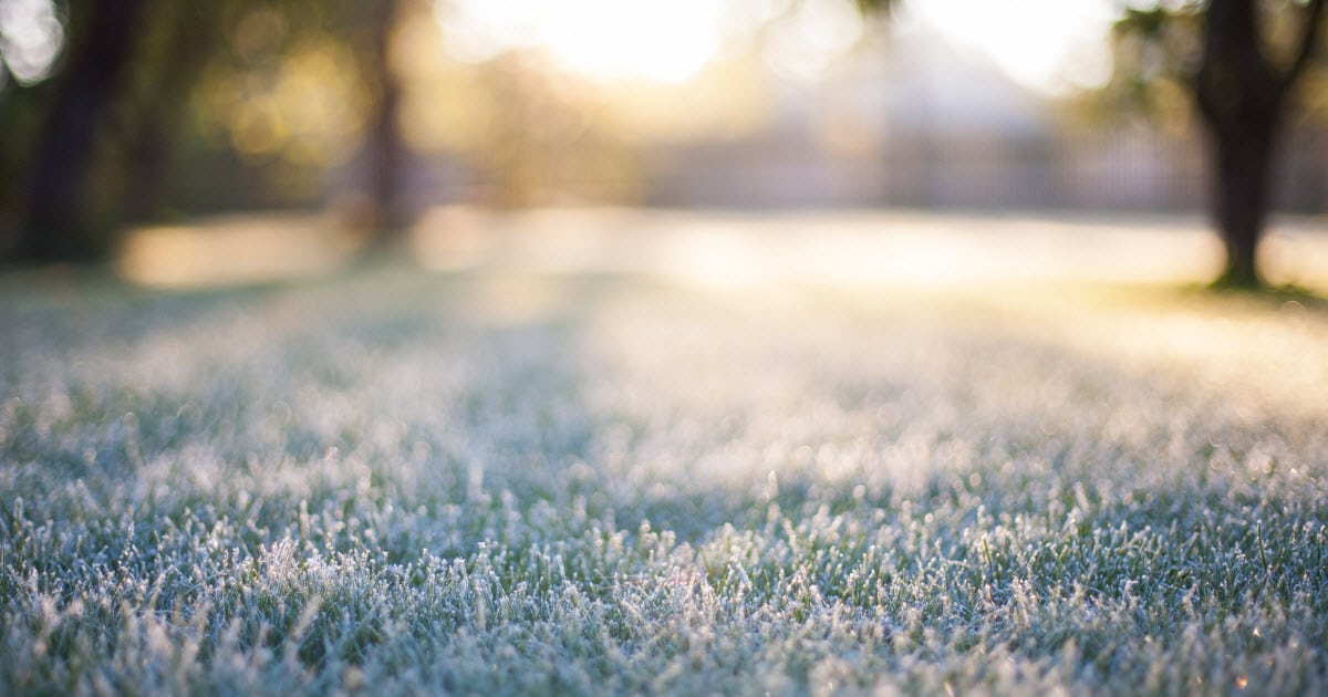 When is it Too Cold to Fertilize Lawn