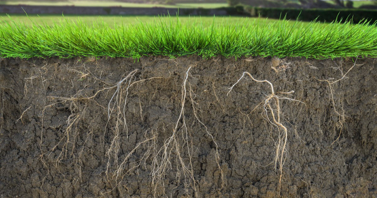 How to Break Down Clay Soil Fast